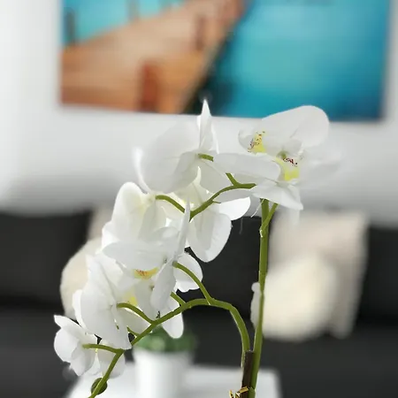 Apartment Side Heaven